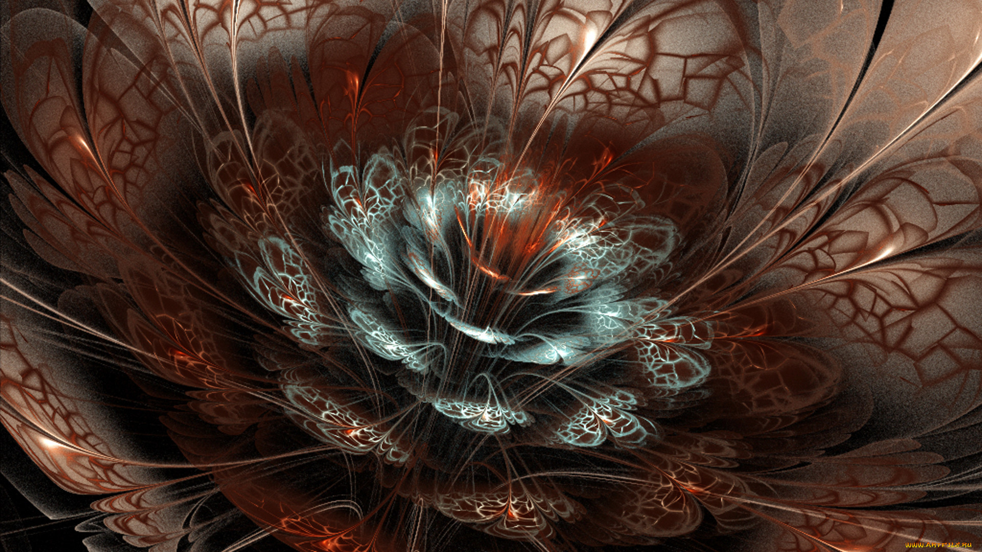 3, , flowers, , , , , , 
